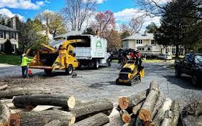 Best Lawn Mowing  in Weedsport, NY