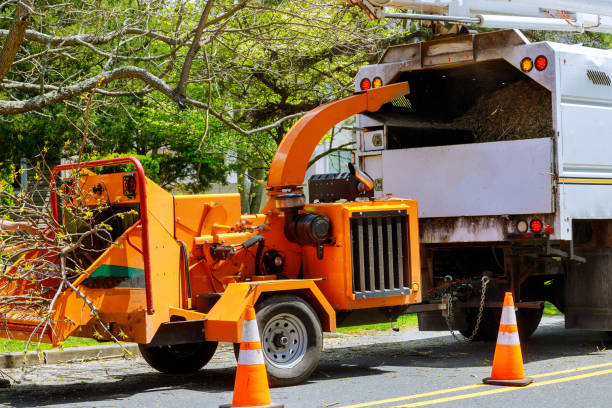 Best Mulching Services  in Weedsport, NY
