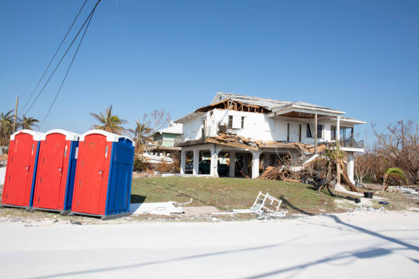 Best Tree Removal  in Weedsport, NY